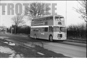 35mm Black and White Negative Ribble  Class Leylant Titan 1841 TCK841 at Longton in 1977
